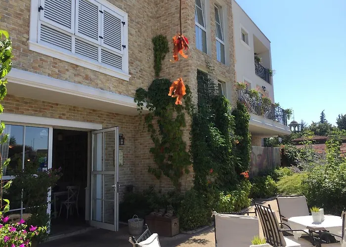 Отель The Step Family Солнечный берег